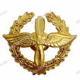 Эмблема петлица ВВС металлическая с венком