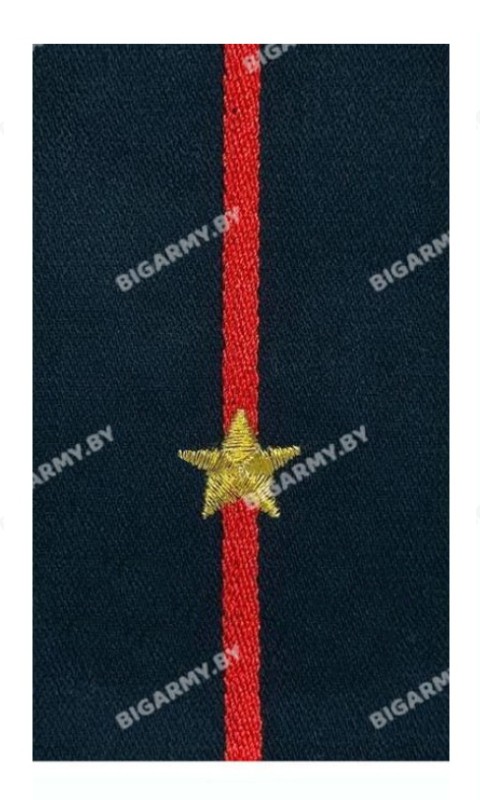 Ф/пог. младшего лейтенанта МЧС вышитые золотом Ф/пог. младшего лейтенанта МЧС вышитые золотом