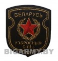 Шеврон ВС Беларусь вышитый черный