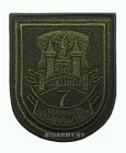Шеврон 7-й торуньский инженерный полк нов/обр оливковый