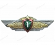 Знак 1 класс Офицера ВС РБ Знак 1 класс Офицера ВС РБ